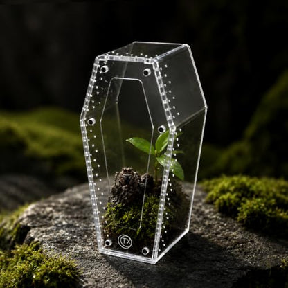 Installation-Free Acrylic Coffin Jumping Spider Enclosure - Gothic Terrarium Habitat with Magnetic Lid, Micro Reptile Breeding Box for Slings, Mantis, Isopods and Small Insects - color: transparent
