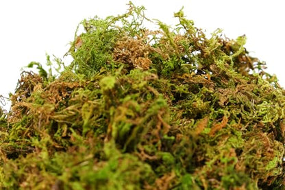 SuperMoss 23820 Mountain Moss Green Sphagnum, Mini Bale, Natural Dried