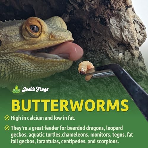 Josh's Frogs Butterworms (25 Count) for Reptiles, Amphibians & Arachnids | for Reptiles, Amphibians & Arachnids