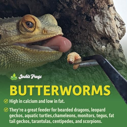 Josh's Frogs Butterworms (25 Count) for Reptiles, Amphibians & Arachnids | for Reptiles, Amphibians & Arachnids