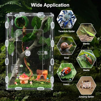 Jumping Spider Enclosure,6x6x10 in Spider Enclosure Easy Assembly with DIY Jumping Spider Accessories Front Opening Bug Habitat with Feeding Port for Mantises,Spiders,Insects