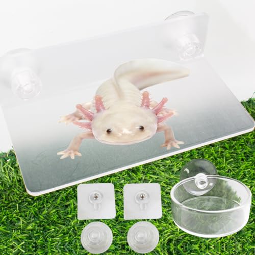 Axolotl Hammock Ledge for Aquarium and Feeding Dish with Suction Cup, 2-in-1 Axolotl Tank Accessories Set, Axolotls Transparent Acrylic Shelf Perch Hammock with Adhesive Pads, Aquarium Decor