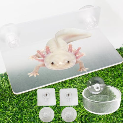 Axolotl Hammock Ledge for Aquarium and Feeding Dish with Suction Cup, 2-in-1 Axolotl Tank Accessories Set, Axolotls Transparent Acrylic Shelf Perch Hammock with Adhesive Pads, Aquarium Decor