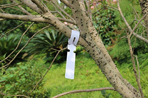 200Pcs Plastic Plant Labels Wrap Around Tree Tags, Adjustable Nursery Garden Labels Plant Tags with Large Writing Surface, White