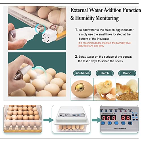 Incubators for Hatching Eggs, Egg Incubator with Automatic Egg Turning and Humidity Control, Egg Incubator for Chicken Quail Duck Pigeon Eggs(36 Eggs)