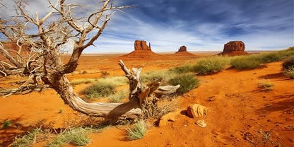 30X18 Inch Sun-Baked Desert Terrarium Backdrop - Orange Sand Habitat Background Durable Polyester Reptile Tank Decor for Arid Species - size: 30X18in