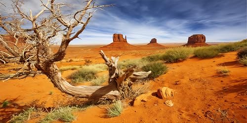 24X12 Inch Sun-Baked Desert Terrarium Backdrop - Orange Sand Habitat Background Durable Polyester Reptile Tank Decor for Arid Species - size: 24X12in
