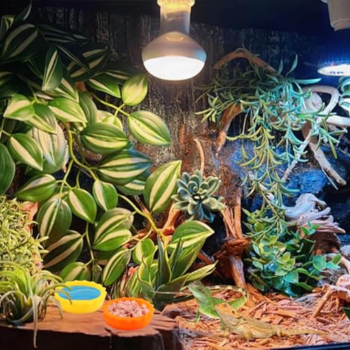 18 PCS Crested Gecko Food and Water Bowl, Reusable Small Reptile Feeding Dish, Colorful Silicone Crested Geckos Food Dish, Gecko Tank Accessories for Small Pet and Crabs, Easy Clean & 6 Colors