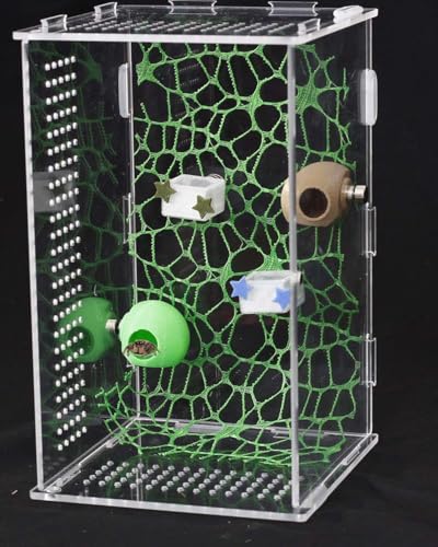 3 Pcs Magnetic Jumping Spider Feeding Dish Jumping Spider Enclosure Accessories Star-Shaped Design Reptile Water Bowl for Other Small Reptiles or Insects - color: 3 Five-Pointed Star Food Bowls