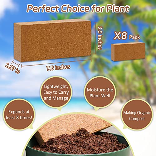 Riare 8pcs Organic Coco Coir Bricks, Natural Coconut Coir for Plants | High Expansion & Moisture Retention Coconut Husk Fiber for Seed Starting, Potting Mix, Composting, Soil Amendment & Reptiles - color: Pack of 8