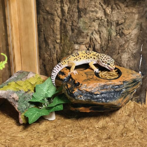 Tfwadmx Magnetic Reptile Feeder Ledge, Gecko Feeder Ledge with 6 Cups Reptile Feeding Bowls Food Dish Water Bowl Tank Accessories for Lizards Chameleons Frog(Blown) - color: Brown