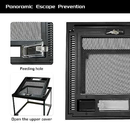 Mini Reptile Glass Terrarium Tank 8 * 8 * 6" Full View, Amphibians Habitat Enclosure Cage for Frog,Spiders,Dubia Cockroach,Praying Mantis,Cricket,Tarantula,Hermit Crab - size: 8*8*6inch