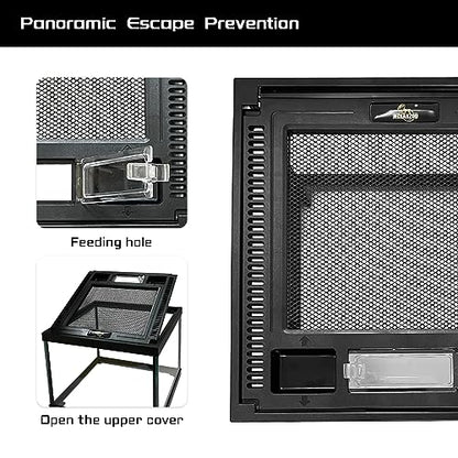 Mini Reptile Glass Terrarium Tank 8 * 8 * 6" Full View, Amphibians Habitat Enclosure Cage for Frog,Spiders,Dubia Cockroach,Praying Mantis,Cricket,Tarantula,Hermit Crab - size: 8*8*6inch