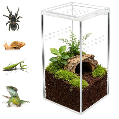 Small Acrylic Reptile Terrarium Kit, Acrylic Tank with Lid 3x3x6 Inch Clear Habitat Enclosure for Spider,Tarantula, Gecko, Hermit Crab, Frog and Insects Easy Assembly One-piece Leak-Proof - size: 5.9" x 2.95" x 2.95"