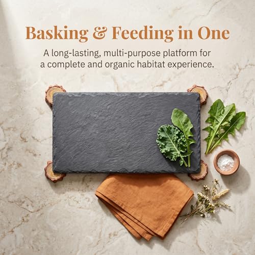 Bearded Dragon Basking Platform with Wooden Stakes, Large Reptile Feeding Station & Tank Accessories, Natural Slate Rock for Climbing and Teething, Habitat Decor for Lizard (Black)