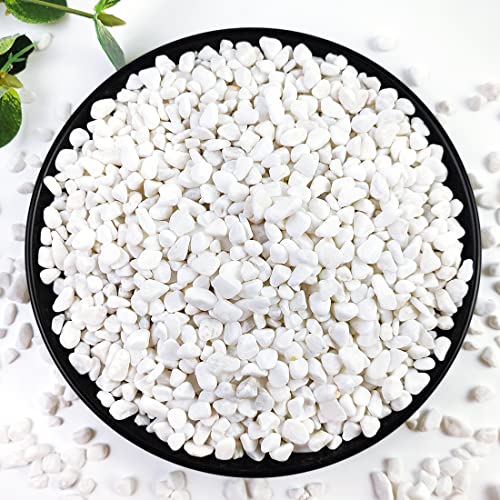 5LB Succulent and Cactus Gravel Pebbles, 1/5 Inch White Stones | Natural Decorative Polished River Rocks for Vases Gardening Indoor and Outdoor Decorative Rocks - color: White, size: 5 Pounds