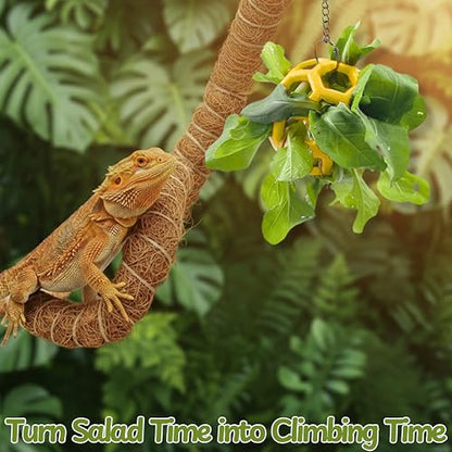 Bearded Dragon Climbing Bridge with Veggie Feeder Ball – Bendable Vine Enrichment Route for Large Tanks, Greens Intro Kit, Reptile/Lizard Tank Accessories (Salad Feeder Ball) - color: Salad Feeder Ball