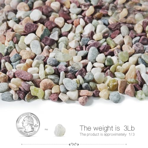 3Lb Pebbles for Succulents,River Rocks for Succulent Plants | Decorative Stones Bonsai Garden Pebbles,Succulent Rocks,Small Aquarium Rocks for Landscaping ,Plants,Vase Fillers - color: Multicolor