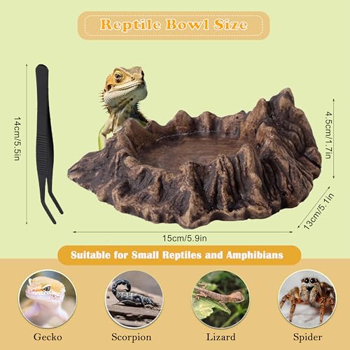 Reptile Water and Food Bowl with Feeding Tweezers Volcanic Rock Style Cement Feeding Dish for Bearded Dragon Leopard Gecko Lizard and Snake Non-Tip Terrarium Decor Landscape Accessory (Brown)