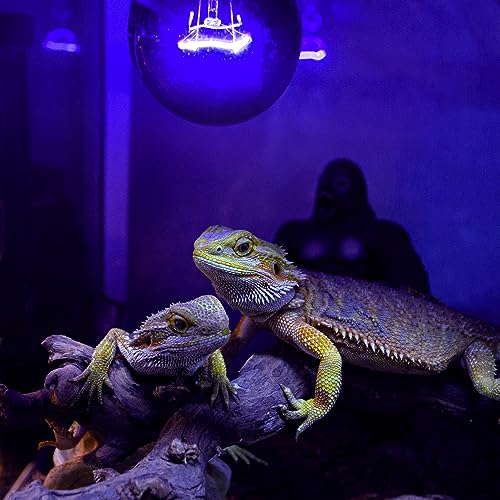 REPTI ZOO 2PCS Reptile Heat Lamp, 150W Night Heat Bulb Moonlight Bulb Purple Infrared Heating Lamp Simulate Natural Moonlight Night Heat Bulb for Reptile Amphibian - style: 150W Night Heat Lamp