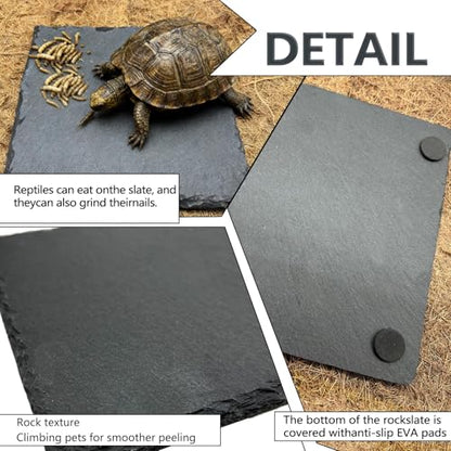 Reptile Basking Platform 6.0''x6.0'' Turtle Rock Plate Slate Food Feeding Dish Bowl Bathing Resting Terrace for Chameleon Lizard Bearded Dragon Gecko Snake Frog Newt (6.0''/15CM) - size: 6.0inches(1pcs)