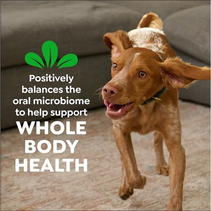 Greenies Large Natural Dental Dog Treats, Original Flavor, 12 Count | Veterinarian-recommended, cleaner teeth after 28 days, clean to gumline, for dogs 50-100 lbs, original chicken flavor - size: 12 Count (Pack of 1)