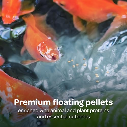 Kaytee Koi’s Choice Floating Fish Food for Koi, Goldfish & Pond Fish | Supports growth. Fish food pellets for all seasons. 35% protein, fish meal first, highly digestible koi food - size: 25 Pound (Pack of 1)