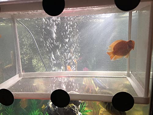 Large Breeder Net for Fish Tank Fish Hatchery Separation Net Mesh Fish Breeding Box with Suction Cup for Aquarium