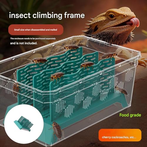 Climbing Feeder for Cockroach and Small Reptiles Features Quick Assembly Design Dragon Feeding