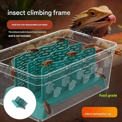 Climbing Feeder for Cockroach and Small Reptiles Features Quick Assembly Design Dragon Feeding