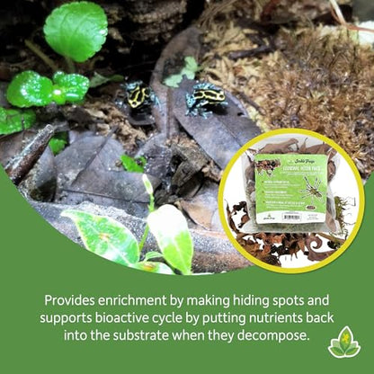 Josh's Frogs EcoScape Assorted Décor Pack (Small)
