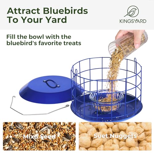 Kingsyard Bluebird Feeders for Outdoors Hanging | Metal Cage Bird Feeder with Tray, Squirrel Proof, for Small wildbirds, Weatherproof, Easy to Refill and Clean, Blue - color: Blue