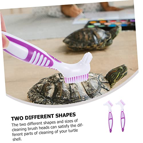 ORFOFE 4pcs Portable Turtle Care Cleaning Brace Brush for Tortoise Shell Cleaning