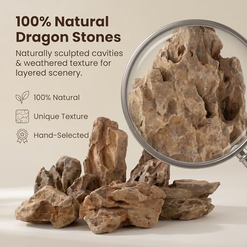 Natural Dragon Stones 3lb, Aquarium Aquascaping Rocks（2-5 inch） | Aquascaping Stone for Fish Tank,Terrariums,Paludariums,Reptile Enclosures & Gardens,Landscaping Rocks - color: Dragon Stone, size: 3Lb (2-5 inch)