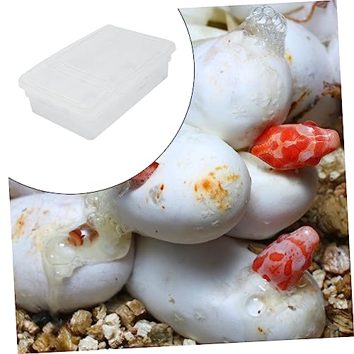 Plastic Reptile Hatching Box Easy Clean Incubator for Snakes Lizards Reptiles Visible Design Lightweight for Convenient Storage Hatchery Container