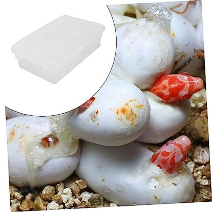 Plastic Reptile Hatching Box Easy Clean Incubator for Snakes Lizards Reptiles Visible Design Lightweight for Convenient Storage Hatchery Container