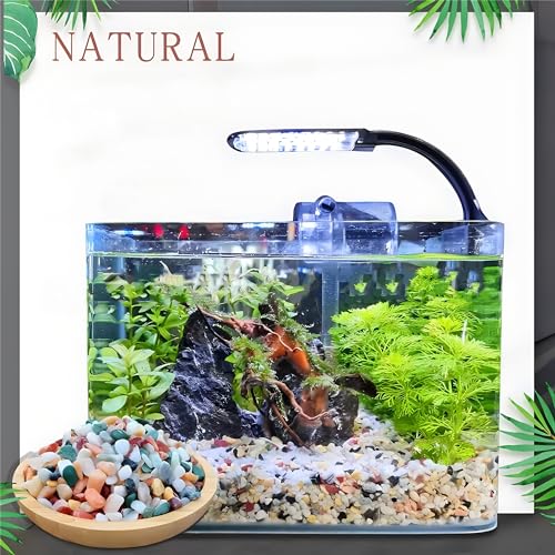 Small Aquarium Gravel for Fish Tank, Natural River Rock Pebbles for Plants Indoor, Pea Gravel for Landscaping, Aquarium Substrate (3 LBS, 0.4" to 0.8")