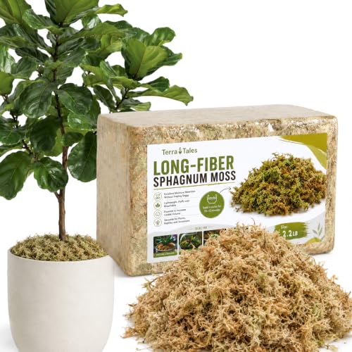 2.2LB Natural Long Fiber Sphagnum Moss Compressed Brick Expands to 60QT, Premium Orchid Moss for Repotting, Carnivorous Plants, Propagation, Moss Pole, Terrarium, Indoor Outdoor Gardening - size: 2.2LB