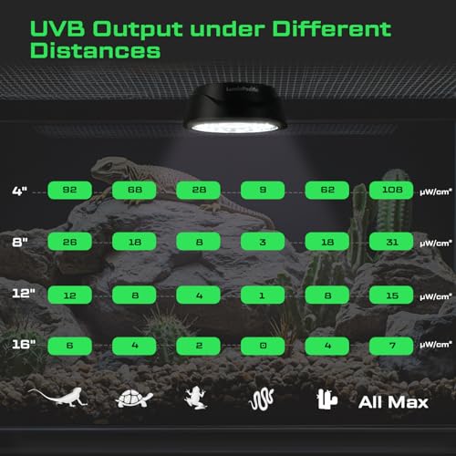 UVB Reptile Lights with Remote, UVA UVB Light with Timer | 10-Level Dimming, UVB Output covers Ferguson Zones 1-4, UVA UVB Reptile Lamp, 5 Preset Modes&DIY Mode, Magnetic Mount - color: 2 Pack