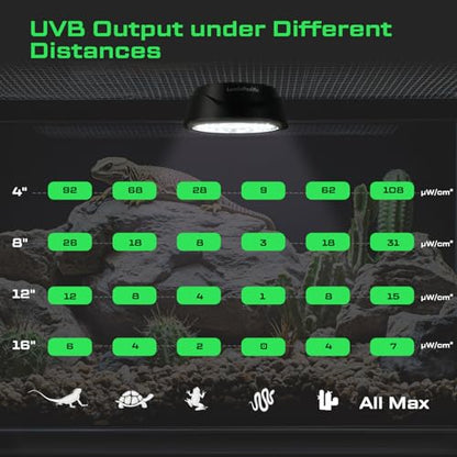 UVB Reptile Lights with Remote, UVA UVB Light with Timer | 10-Level Dimming, UVB Output covers Ferguson Zones 1-4, UVA UVB Reptile Lamp, 5 Preset Modes&DIY Mode, Magnetic Mount - color: 2 Pack