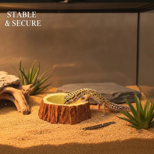 Resin Feeding Bowl, Weighted Water Dish for Reptile Terrariums, Stable Food Station for Small Animals (1 PC)