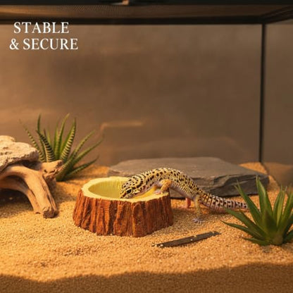 Resin Feeding Bowl, Weighted Water Dish for Reptile Terrariums, Stable Food Station for Small Animals (1 PC)