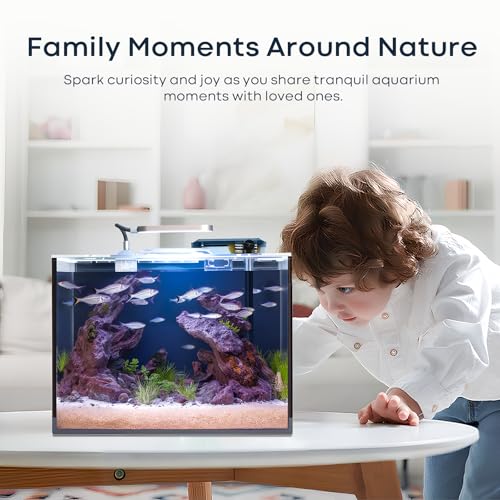 3 Gallon Small Fish Tank Glass Aquarium Set, Starter Kit with Heater Water Pump Cleaning Filter Bright Light Rocks Gravel Cleaning Tool, Leak-Proof Clear Rimless Desktop Spaces Saving Betta Fish - size: 3 Gallon