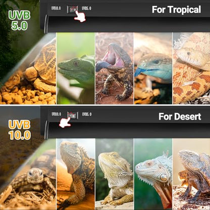 REPTI ZOO Switchable UVB Light for Reptiles, 39W T5 UVB Light Combo Kit for Tropical & Desert Reptile, 34" Terrarium Hood Lamp Fixture with UVB 10.0 Bulb for Bearded Dragon Snake Gecko Lizard Tortoise - size: 34 IN