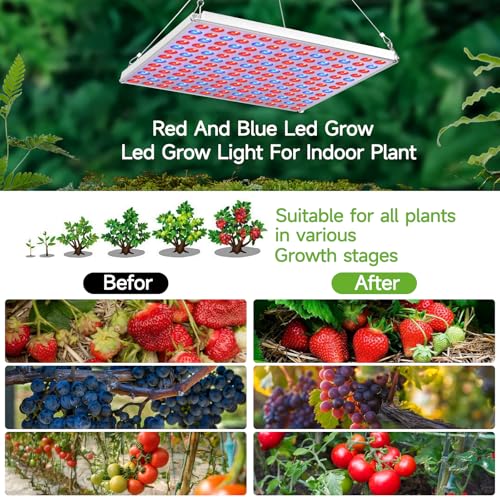 LED Grow Light, Grow Light for Indoor Plants Full Spectrum Plant Light for Seedling, Hydroponic, Greenhouse, Succulents, Flower