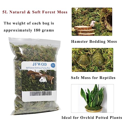 5L Forest Moss for Hamster Syrian Gerbils Bedding, Natural Moss Perfect for Potted Plants, Terrariums, Reptile Tanks and Live Creature Projects