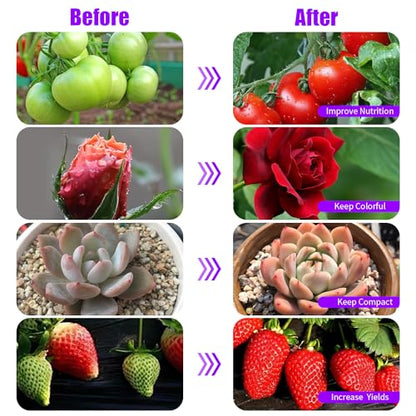 Grow Lights Upgrade 168 LEDs Clip Plant Lights for Indoor Plants, Full Spectrum White+ Red LED Plant Growing Lamps with Flexible Gooseneck, 3/9/12H Timer, 3 Spectral Modes, 10 Dimmable Levels 2 Pack - size: 2 Head 2 Pack