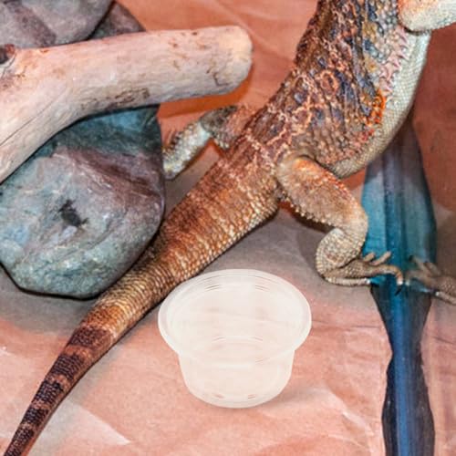 50pcs Small Reptile Water Dish and Food Bowl Set 25ml Plastic Terrarium Feeding Cups for Leopard Gecko, Snake, Frog, Lizard, Bearded Dragon, Suitable for Amphibians and Insect Pets