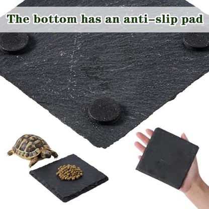 Yuanchu Reptile Basking Platform, Slate Tortoise Rock Plate, Natural Rock Reptile Food Dish Bowl, Habitat Decor for Turtle Bearded Dragon Lizard Gecko Snake