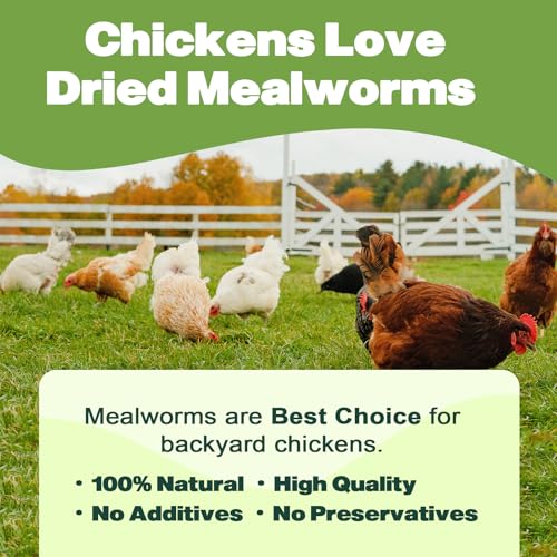 5LB Dried Mealworms for Chickens, Laying Hens, Ducks & Wild Birds | 100% Natural Non-GMO Whole Mealworms, Supports Feather Health & Molting, Resealable Bulk Bag for Daily Flock Feeding